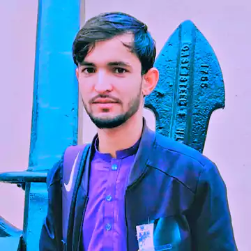 mujahid ali web developer