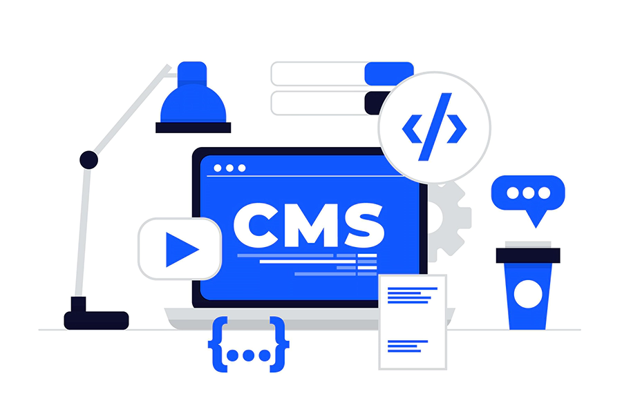 Mujahid ali web developer services